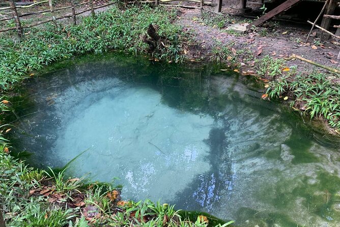 Full-Day Private Tour Phnom Kulen and Waterfalls - Transport, guide service, and the value of $115