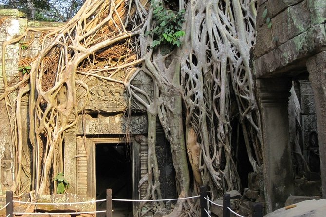 Full-Day Siem Reap Angkor Major Temples Private Tour - Why this private Angkor day works