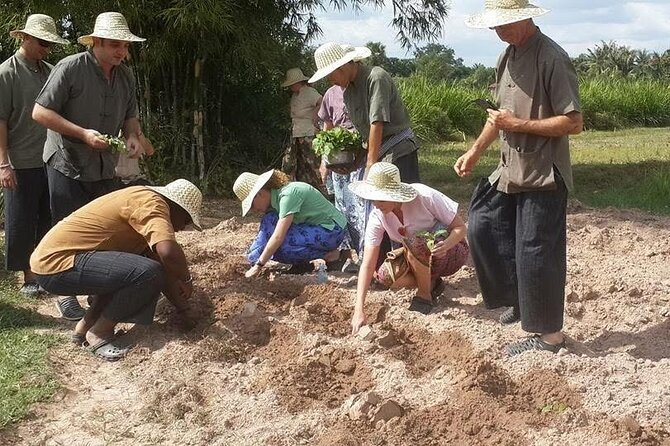Full Day Siem Reap Farm Tour with Cooking Class and Monk Blessing - Timing, group size, and comfort