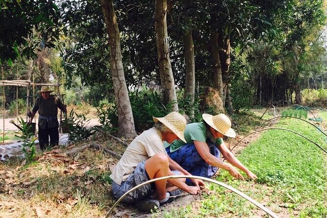 Full Day Siem Reap Farm Tour with Cooking Class and Monk Blessing - Getting your feet dirty on the farm