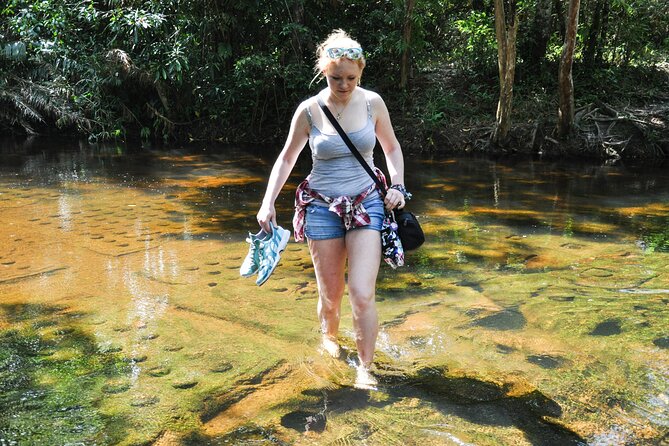 Full Day to Banteay Srei, Kulen National Park and Beng Mealea - The road through Kulen to Beng Mealea