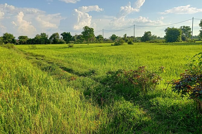 Full Day tour .City tour.Countryside.Bamboo Train.Secret Bat Cave - Why the bat cave makes this Battambang day special