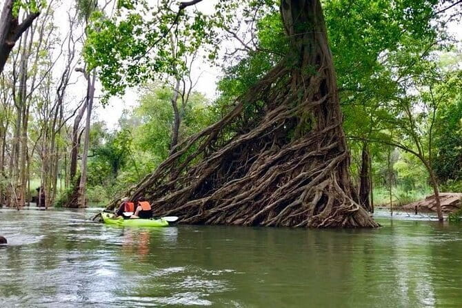 Full Day Tour from Siem Reap - Bamboo Train, Killing Cave & Sunset - Guide quality and the personal side of the trip