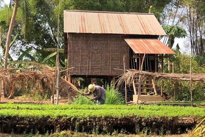 Full-day: Wat Banan. Old bamboo train. Bat Cave. Killing cave - Phnom Sampov, bats, and the Killing Cave