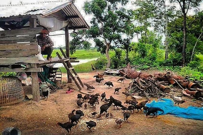 Full-day: Wat Banan. Old bamboo train. Bat Cave. Killing cave - Who should book this Battambang day?