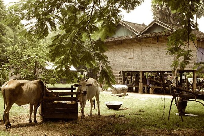 Full-day: Wat Banan. Old bamboo train. Bat Cave. Killing cave - Cycling through villages and across the Sangke River