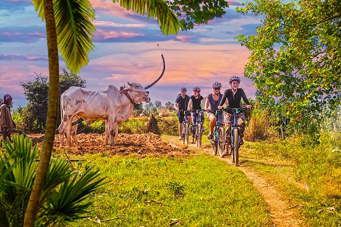 Grand Tour-Ek Phnom. Baset. Bamboo Train. Wat Banan. Phnom Sampov - Wat Samrong Knong and Cambodia’s Difficult Past