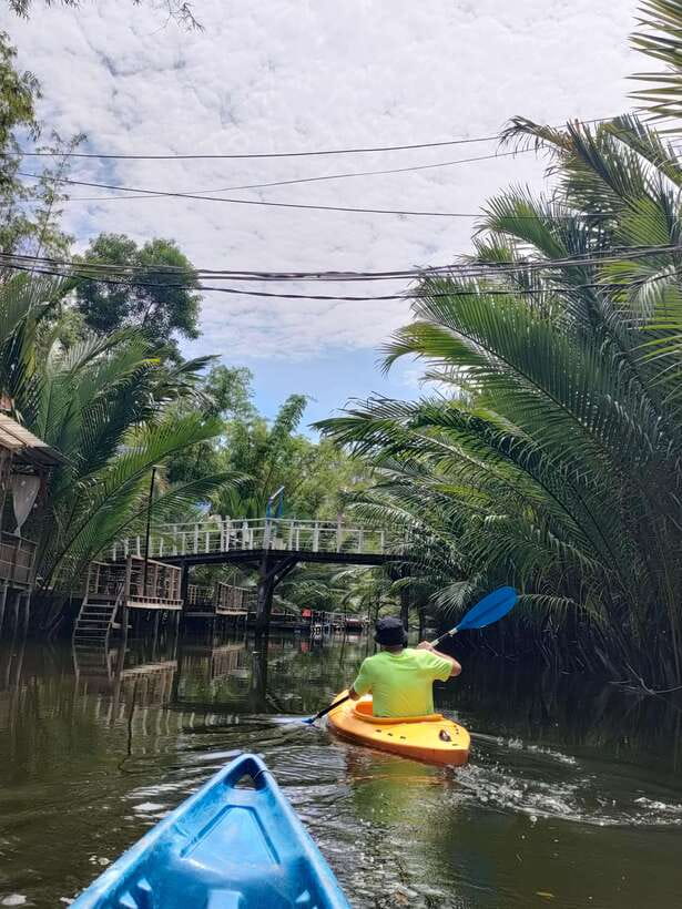 Green Cathedral Kayaking Journey & Reflection River View - Swimming, hammocks, and the long sunset pause