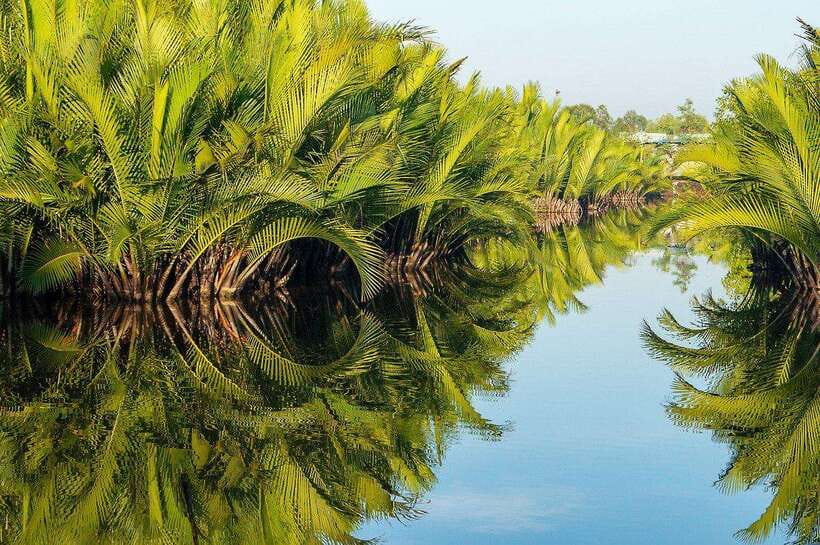 Green Cathedral Kayaking Journey & Reflection River View - Why the guide matters more than the equipment