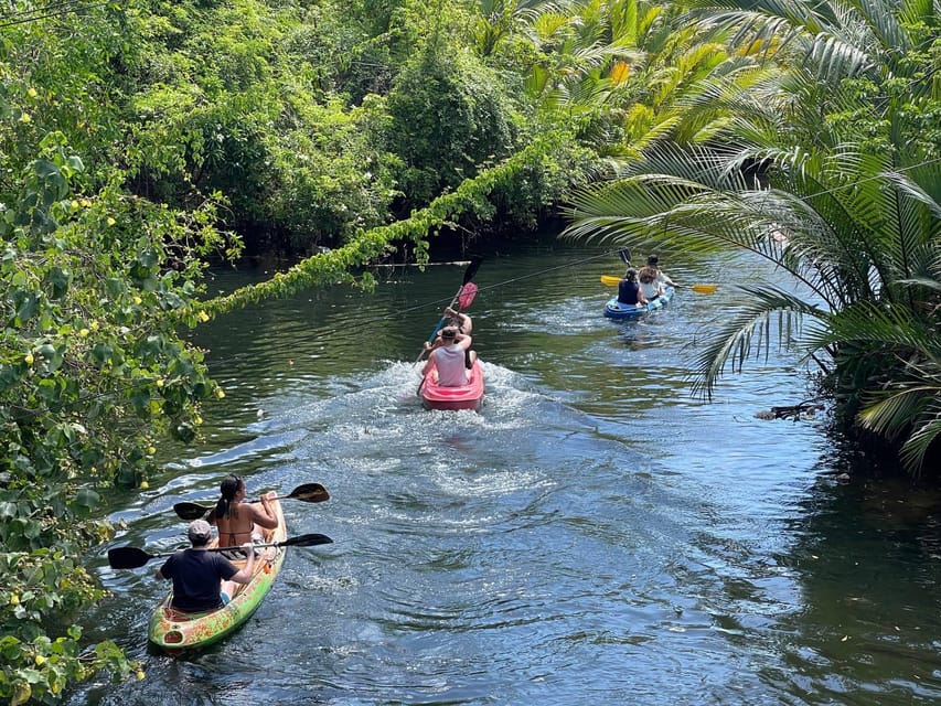 Green Cathedral Kayaking Journey & Reflection River View - Practical details before you book