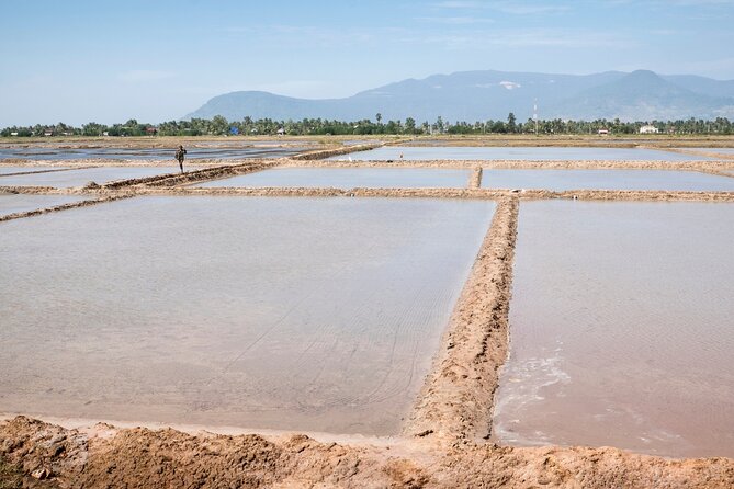 Half-Day Adventure to the Pepper Farm by Scooter - Why a scooter is the right way to see rural Kampot