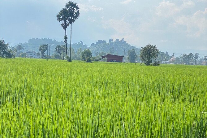 Half-Day Adventure to the Pepper Farm by Scooter - Fifth stop: Kampot pepper at BoTree Farm