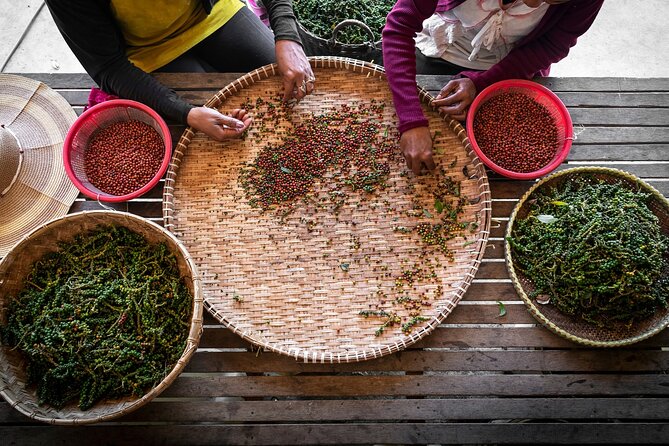 Half-Day Adventure to the Pepper Farm by Scooter - Starting from Butterfly Tours in Kampot