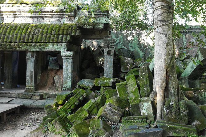 Half Day Angkor Wat Sunrise Private Tour - Why this private sunrise tour works