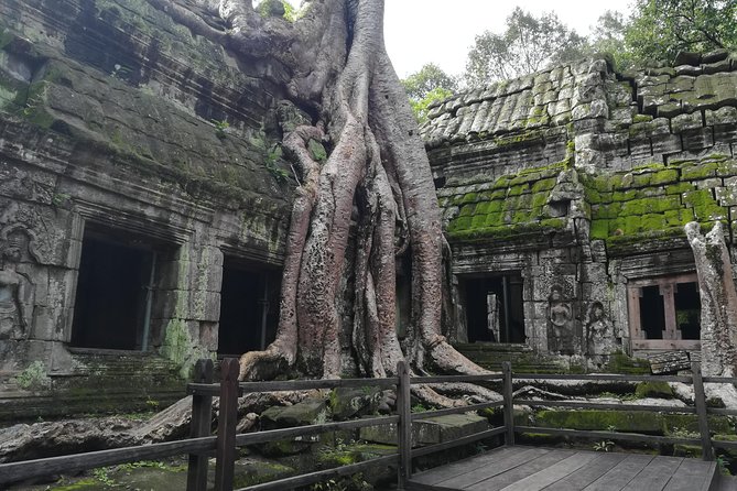 Half Day Angkor Wat Sunrise Private Tour - Ta Prohm and the Tomb Raider connection