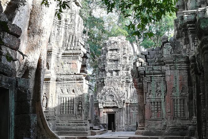Half Day Angkor Wat Sunrise Private Tour - Who gets the best value