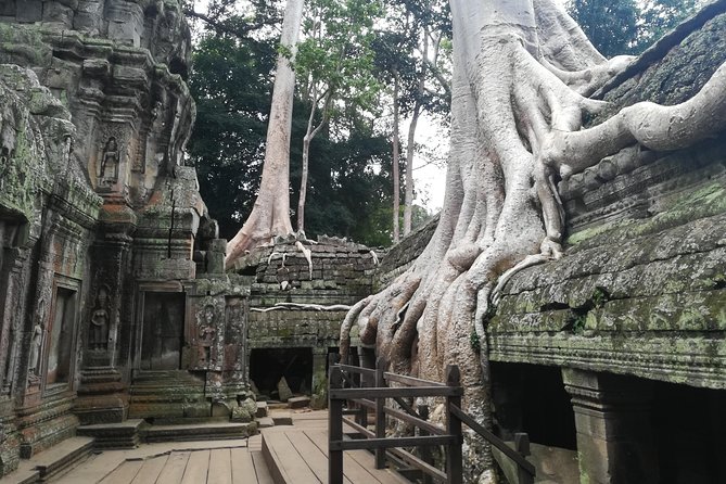 Half Day Angkor Wat Sunrise Private Tour - Angkor Wat before sunrise