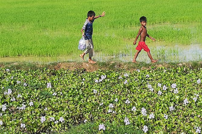 Half Day Floating Village ( Mechrey) & Tole Sap Tour - Lotus and duck farms before the lake