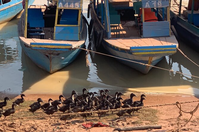 Half Day Floating Village ( Mechrey) & Tole Sap Tour - What the $65 price actually covers