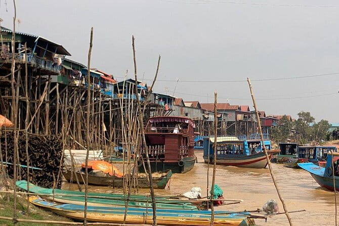 Half Day Kampong Phluk Floating Village and Flooded Forest Tour - The flooded forest is the visual highlight
