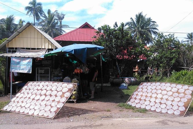 Half day morning bicycle tour to Explore local livelihood and test local snacks - Riding out of Battambang at a useful pace