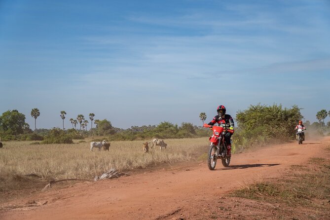 Half Day Siem Reap Off-Road Ride Tour - Timing, pickup, and cancellation details