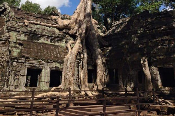 Half-Day Ta Prohm and Banteay Kdei Tour - Banteay Kdei offers a different kind of Angkor visit