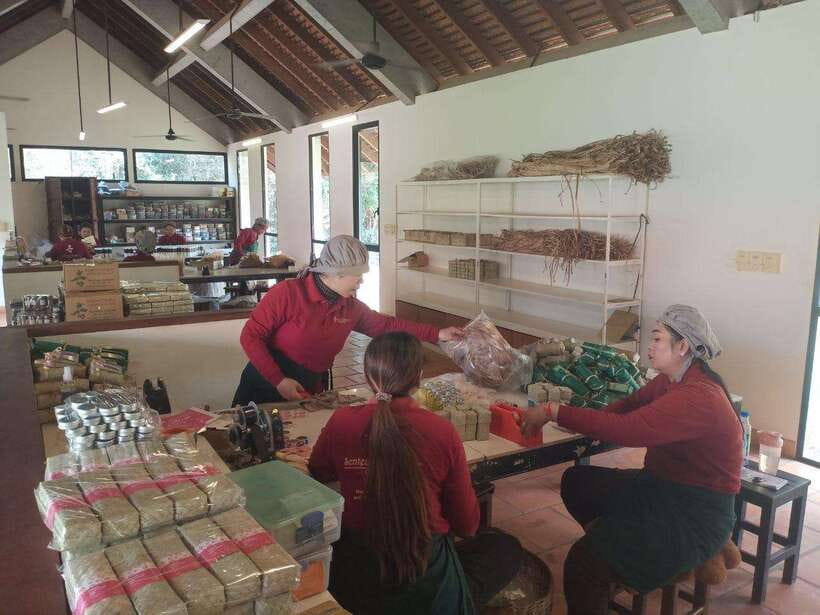 Half Day Trip: Silk Farm, Satcha, and Senteur d'Angkor Tour - What the $25 group price really offers