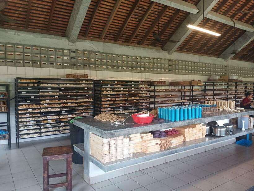 Half Day Trip: Silk Farm, Satcha, and Senteur d'Angkor Tour - Timing, flexibility, and comfort