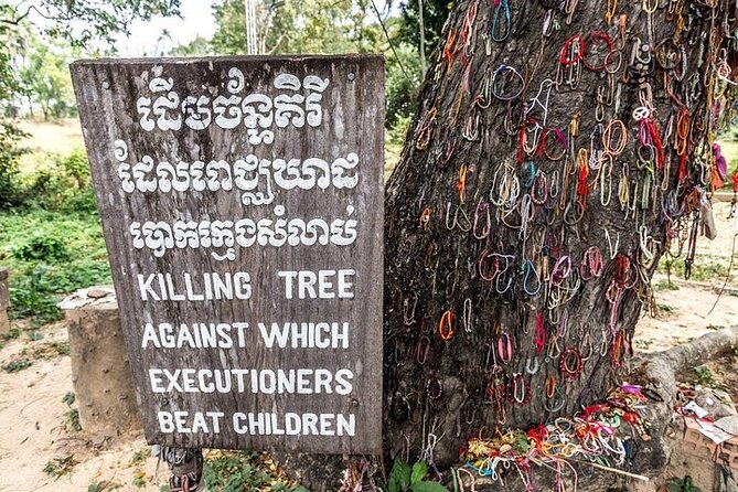Half Day Trip to Killing Field and Genocidal Museum - A private vehicle makes the half-day easier