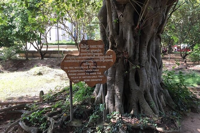 Half Day Trip to Killing Field and Genocidal Museum - Who will get the most from this visit?