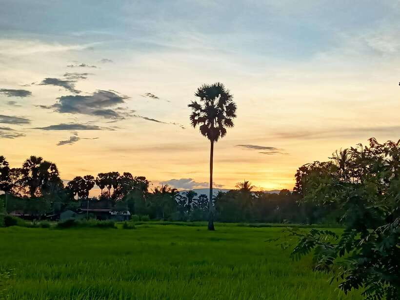 Kampot Countryside include Pepper farm,Kep crab market beach - Climbing to Phnom Chhngok cave temple