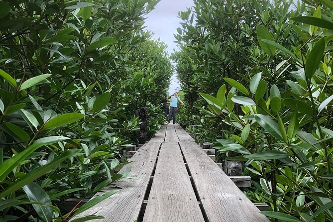 Kampot Countryside Tour - Pepper Farm, Salt Lake, Caves, and more - Why this Kampot day trip works