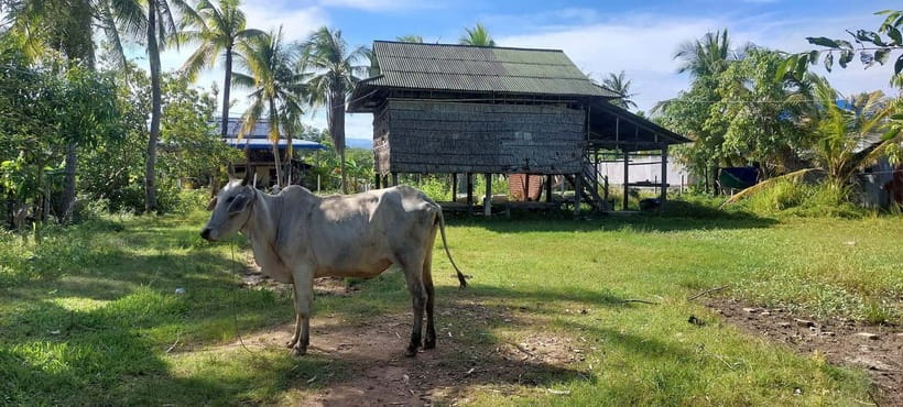 Kampot: Cultural Bike Experience - Local Life & Countryside - Wat Chum Kriel and the first temple walk