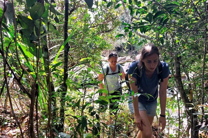Kampot Day Tour "Bokor National Park" - What $29 includes, and what it does not