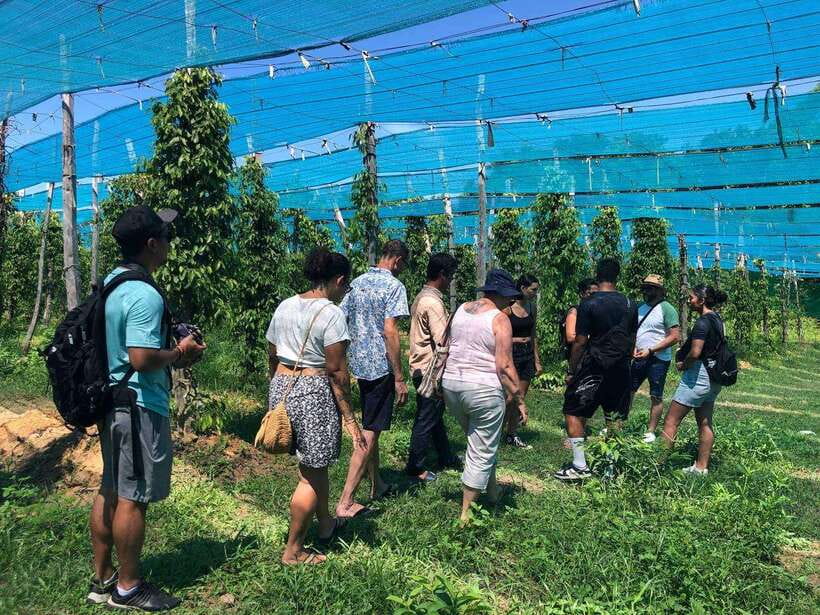 Kampot Pepper Farm, Salt Fields, Crab Market from Phnom Penh - Why Kampot and Kep make a strong day trip from Phnom Penh