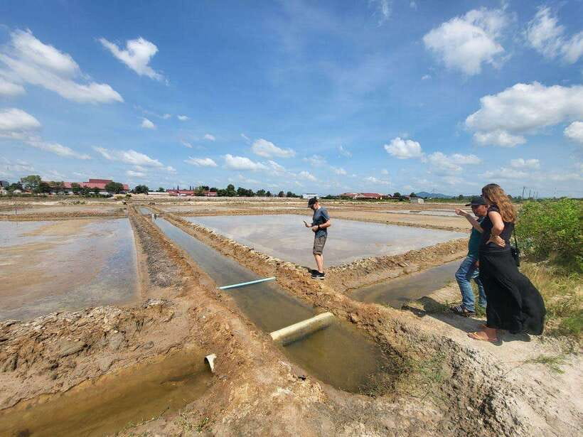 Kampot Pepper Farm, Salt Fields, Crab Market from Phnom Penh - La Plantation, where Kampot pepper takes center stage