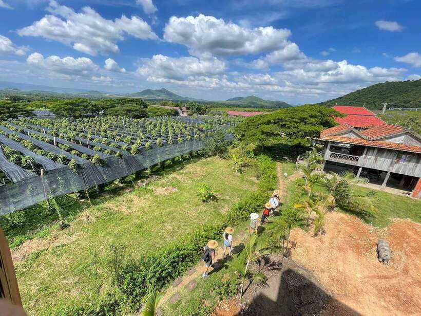 Kampot Pepper Farm, Salt Fields, Crab Market from Phnom Penh - What the $87 price buys you
