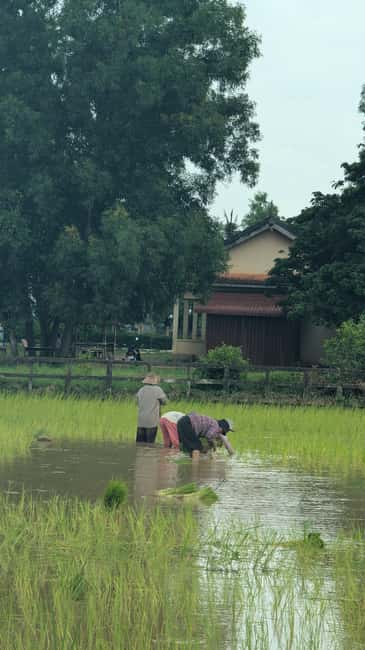 Kampot Pepper & Kep/Crab Market Tours: Salt, Secret lake - What the tuk tuk ride is really like