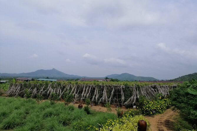 Kampot Tour Pepper Plantation, Salt Field, Cave, Secret Lake - The tuk tuk ride through Kampot’s back roads