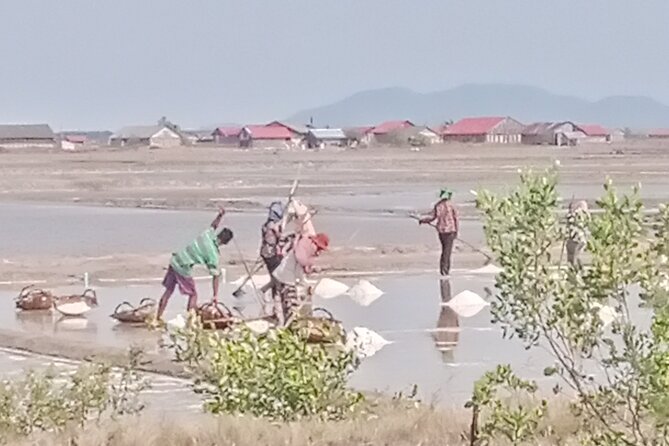 KAMPOT TRAVEL-Pepper farm. Cave.Secret lake-Crab market & Salt... - Brateak Krola Lake and its difficult past