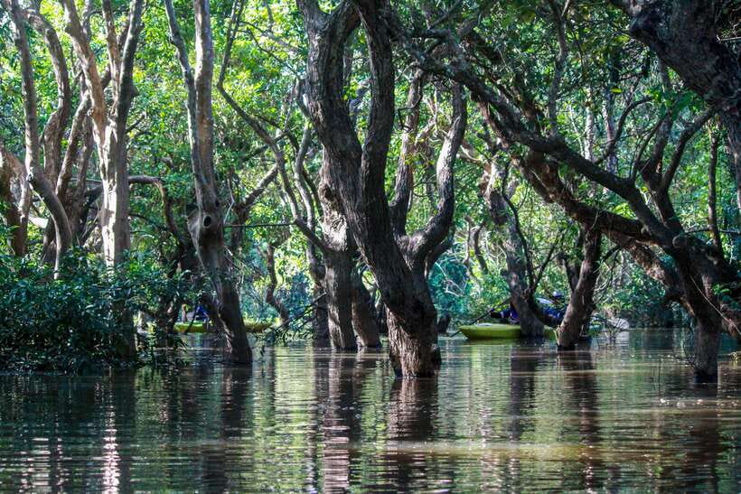 Kayaking & Floating Village in Siem Reap - What to bring and who should skip it
