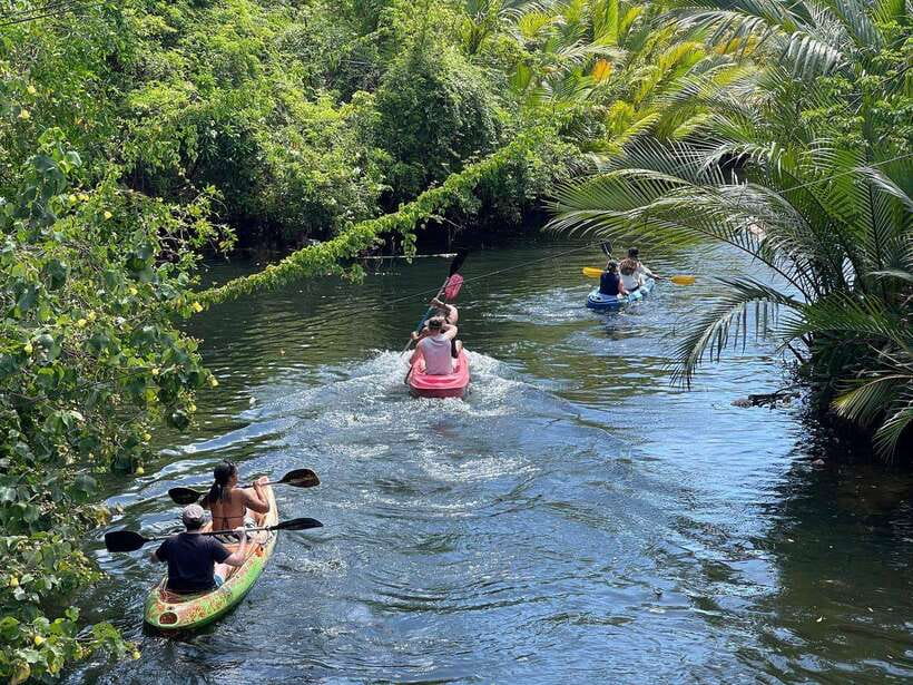 Kayaking tour around green cathedral - At a glance
