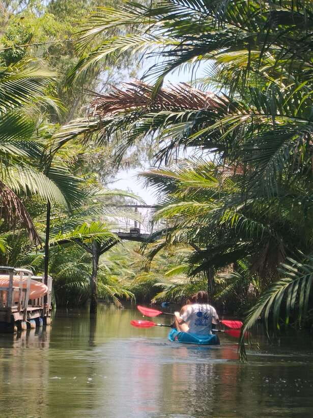 Kayaking tour around green cathedral - Who will enjoy this outing most