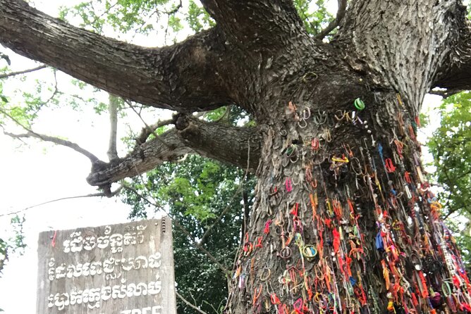 Khmer Rouge, genocide museum &killing field tour - Who should book this Phnom Penh tour