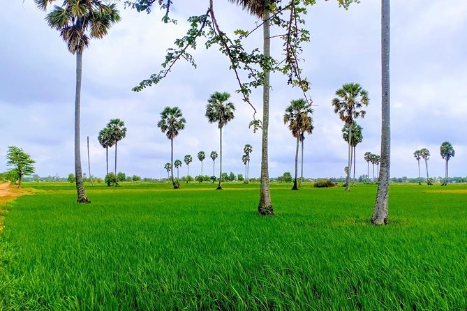 Killing Field & Paddy Rice Fields Tuk Tuk Adventure - Village roads and Cambodia’s rice-growing country