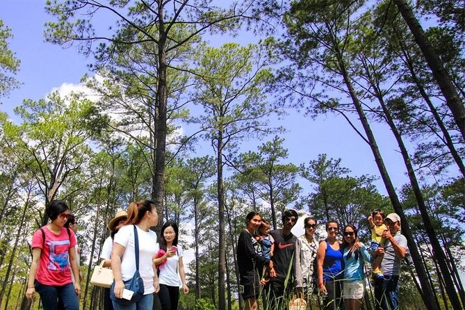 Kirirom National Park Private Day Tour from Phnom Penh - What the private format is worth at $127