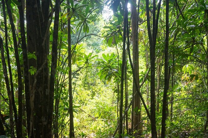 Kirirom National Park Private Day Tour from Phnom Penh - How much fitness and time you need