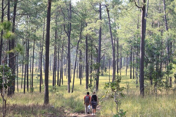 Kirirom National Park Private Day Tour from Phnom Penh - Who will enjoy this day most