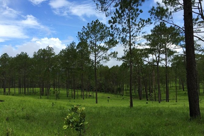 Kirirom National Park Private Day Tour from Phnom Penh - Booking, cancellation, and practical details